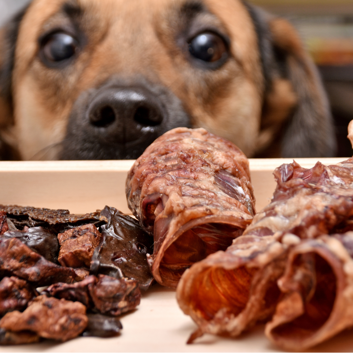 Natural Treats & Chews at our Wiltshire treasure trove! – Baber Animal ...
