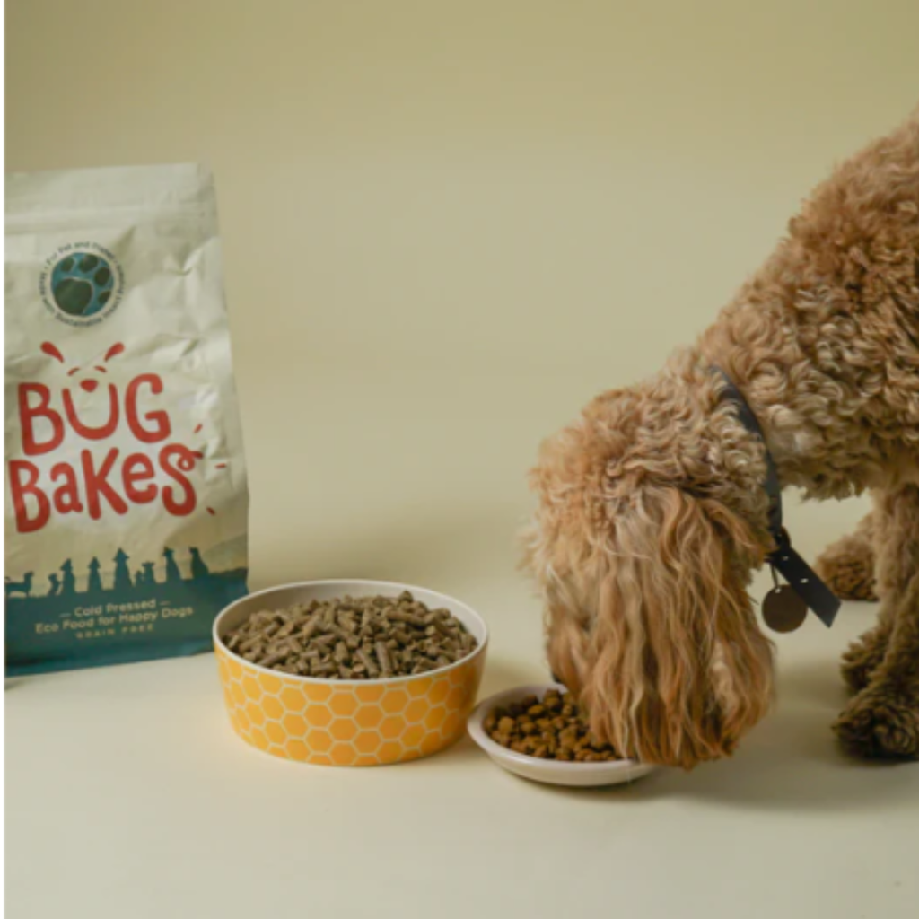 Bug Bakes Grain Free Insect Protein Dog Food – Baber Animal Feeds