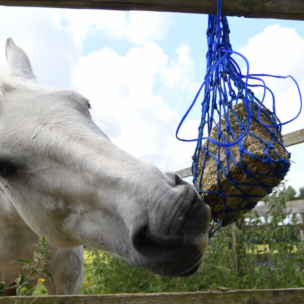 Extend eating times and help prevent boredom with this small-holed net designed to hold our munch range of fibre blocks.