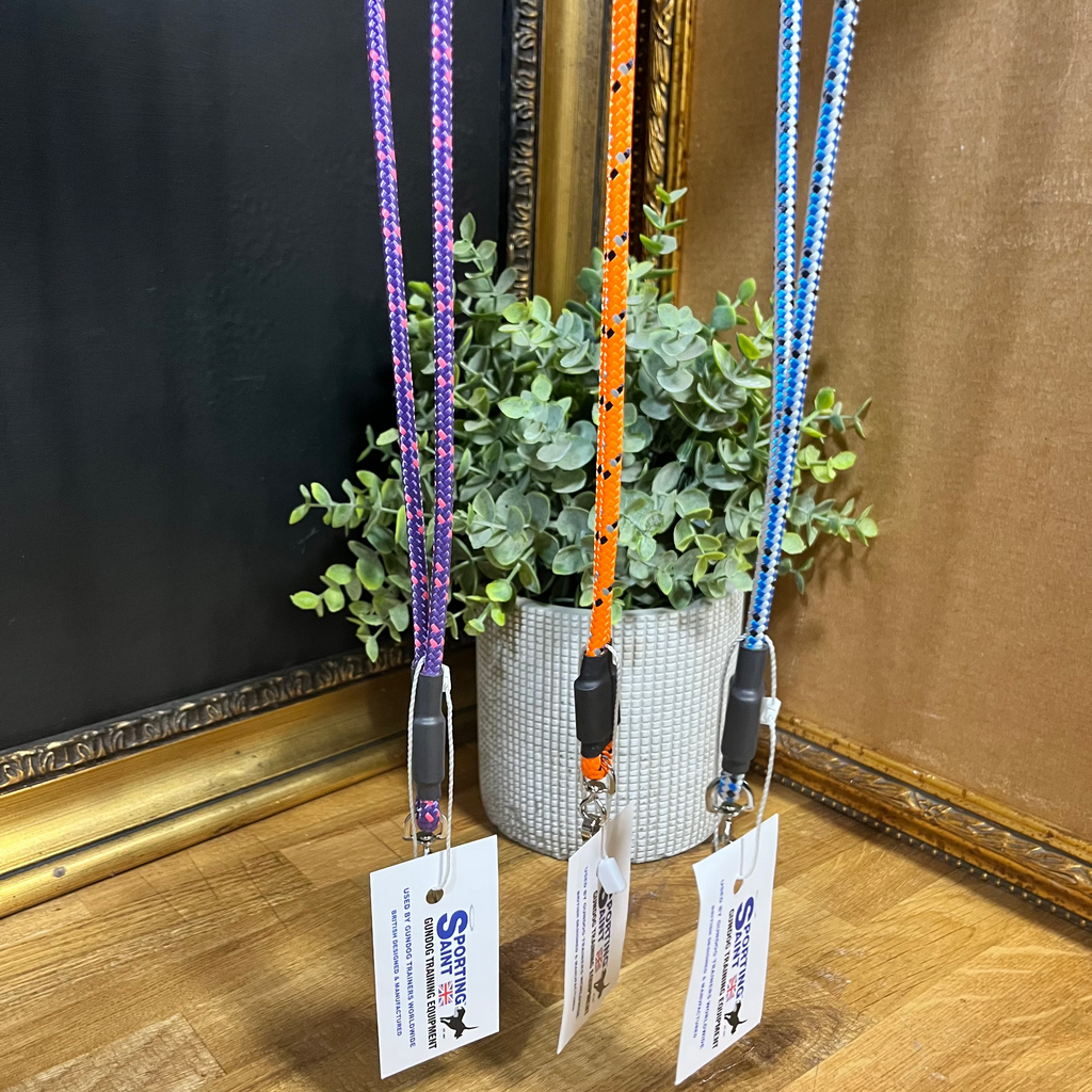 Three lanyards with attached cards hanging on a wooden surface with a plant in the background.